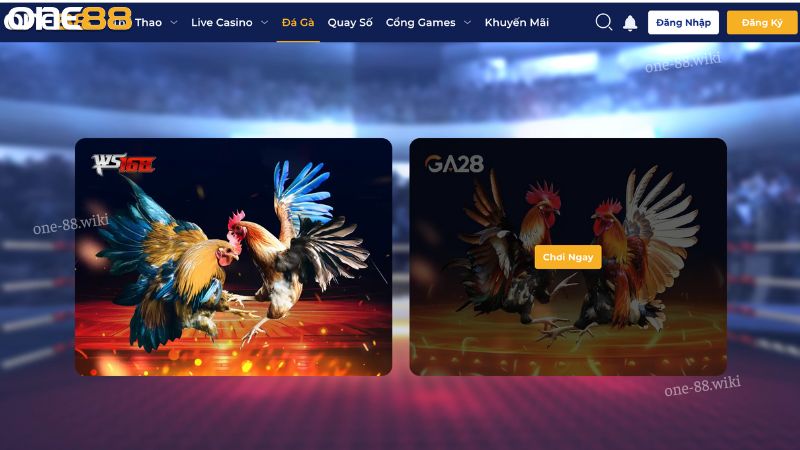 Tìm hiểu các sảnh đá gà tại ONE88